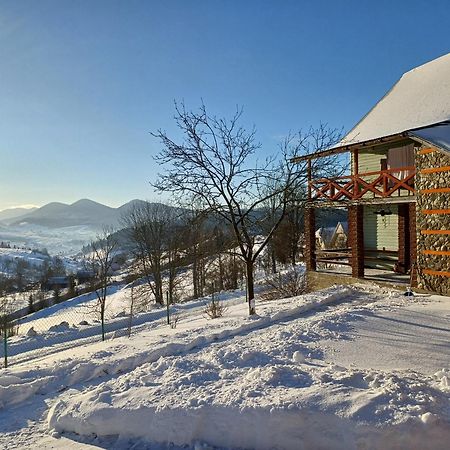 Green House Panorama Karpat Volosyanka  Exterior photo